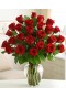 Two dozen red roses